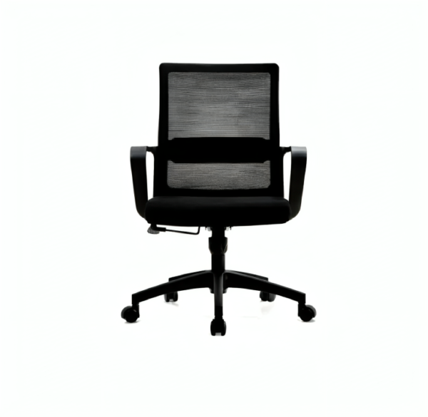 Ergonomic Chair Oer-02